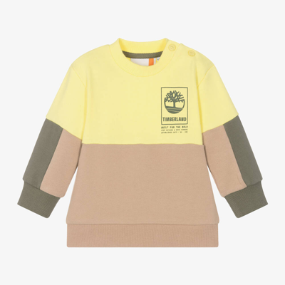 Timberland Babies' Boys Yellow Cotton Colourblock Sweatshirt