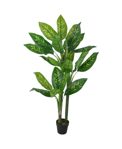 Northlight 59" Artificial Wide Leaf Dieffenbachia Potted Plant In Green