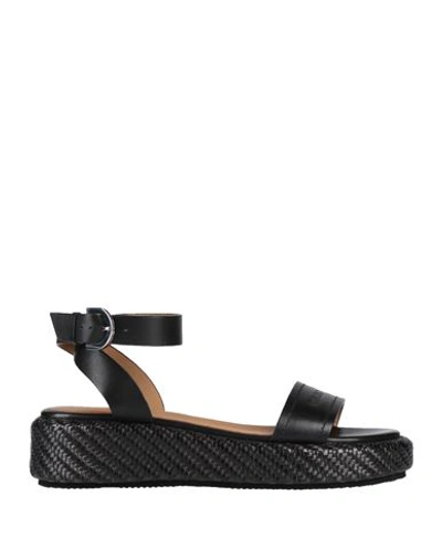 Emporio Armani Sandals In Black