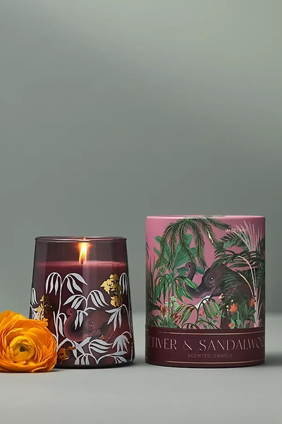 Anthropologie Getaway Fresh Vetiver & Sandalwood Boxed Candle In Multi