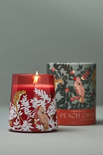 Anthropologie Getaway Fruity Peach Chamomile Boxed Candle In Orange