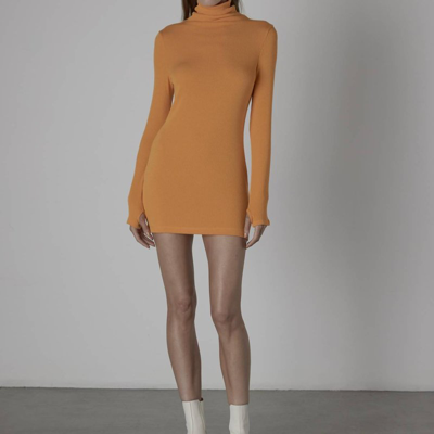 Enza Costa Sweater Knit Turtleneck Tunic/mini In Citrus In Orange