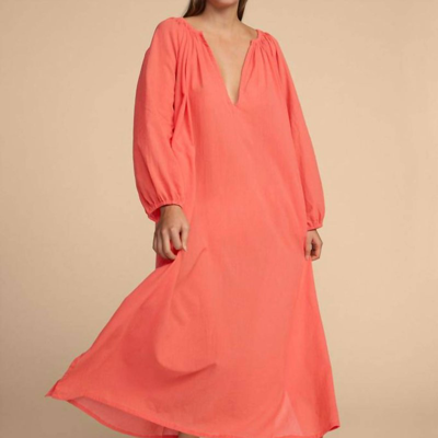 Mikoh Aniwa Dress In Papaya In Orange