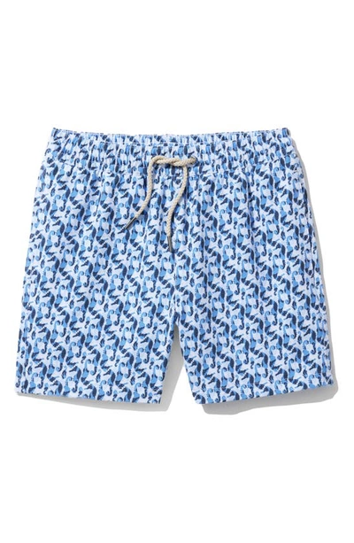 Fair Harbor Kids' Bayberry Seahorse Print Swim Trunks In Wave Blue Seahorse