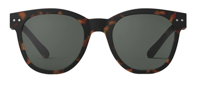 Izipizi Slmsnc02 #n C02 Wayfarer Sunglasses In Grey