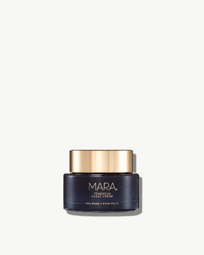 Mara Sea Moss + Stem Cells Seadream Firming Algae Créme Moisturizer In White