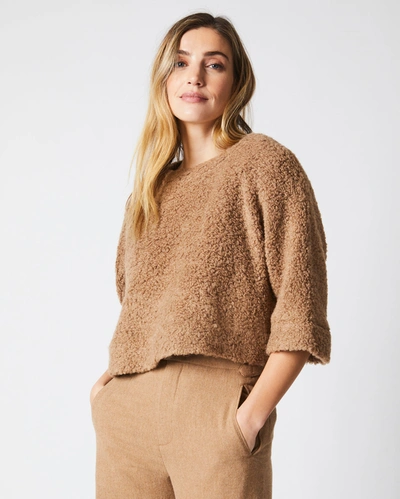 Reid L/s Crop Knit In Camel