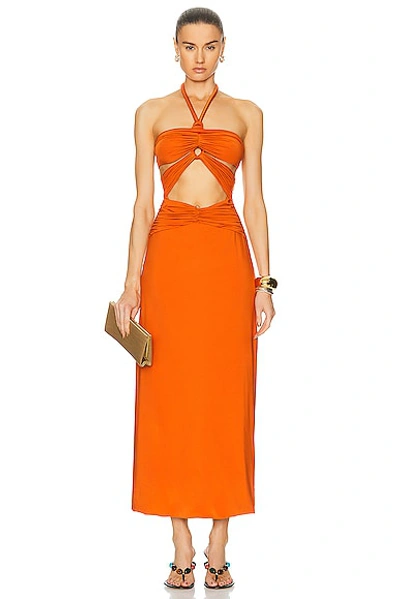 maygel coronel orange dress Veranera Fiaba Orange Egitto