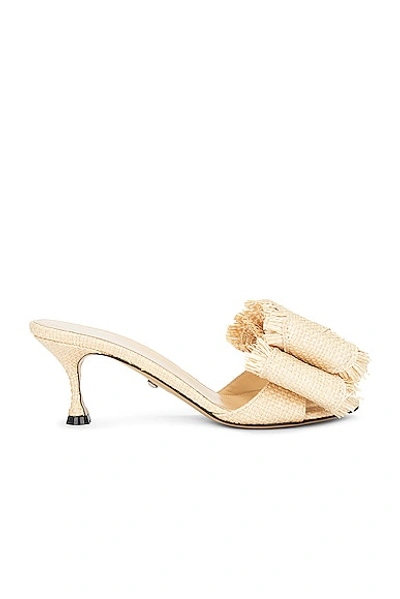 Mach & Mach Le Cadeau Raffia Kitten Heel Mule In Beige