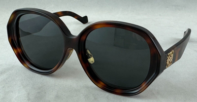 Pre-owned Loewe Lw40080u Lw 40080u 52a Tortoise Brown Sunglasses