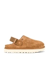 Ugg Goldenstar Clog In Chestnut