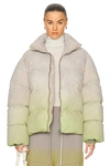 Rick Owens Quilted Shell Down Jacket In Acid Degrade