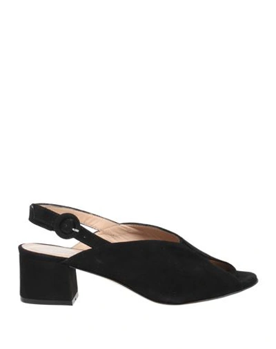 Zanfrini Cantù Woman Sandals Black Size 6.5 Leather