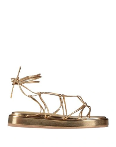 Gianvito Rossi Woman Sandals Gold Size 6 Leather
