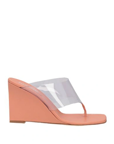 Paris Texas Woman Thong Sandal Blush Size 8 Soft Leather, Pvc - Polyvinyl Chloride In Pink