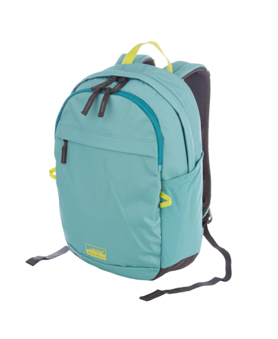 Eddie Bauer 20l Venture Backpack Daypack In Dusty Jade