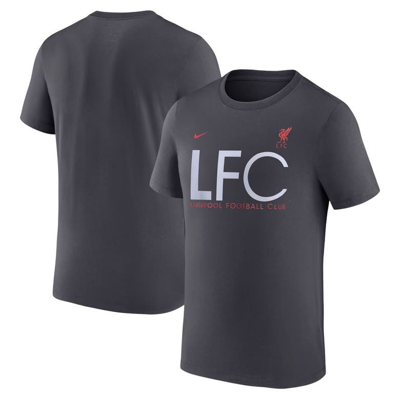Nike Gray Liverpool Mercurial T-shirt In Grey
