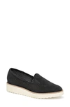 Johnston & Murphy Mitzi Perforated Venetian Loafer In Black Suede