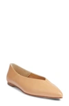 Aeyde Pointed-toe Leather Ballerina In Hazelnut