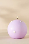 Anthropologie Pressed Daisy Wax Sphere Candle