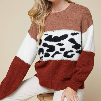 Entro Color Block Sweater In Leopard Print In Black