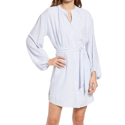 Bishop + Young Natalie Shirt Dress In Light Blue