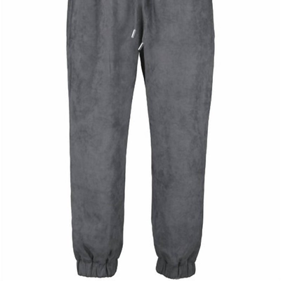 Bishop + Young Eternal Optimist Cozy Suede Jogger In Grey