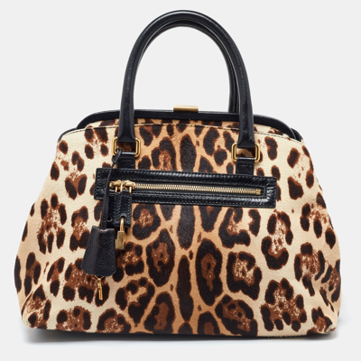 Pre-owned Dolce & Gabbana Brown Leopard Print Calfhair And Leather Frame Satchel