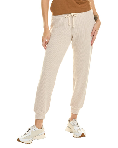 Saltwater Luxe Pull-on Jogger Pant In Brown