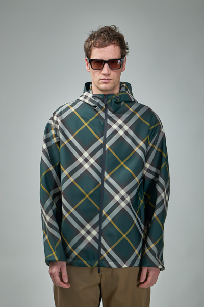 Burberry Check-pattern Zipped Hooded Jacket In Green