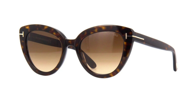 Pre-owned Tom Ford Izzi Ft 0845 Dark Havana/brown Shaded (52f) Sunglasses