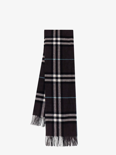 Burberry Man Scarf Man Brown Scarves