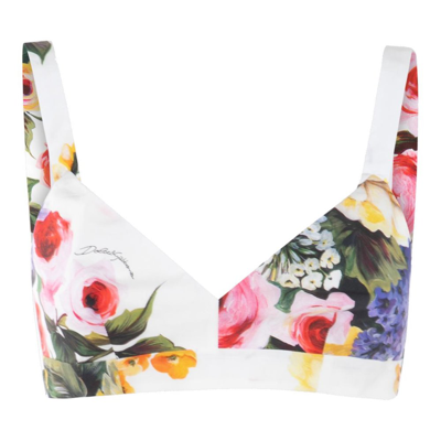 Dolce & Gabbana Garden Printed Bralette In Multicolor