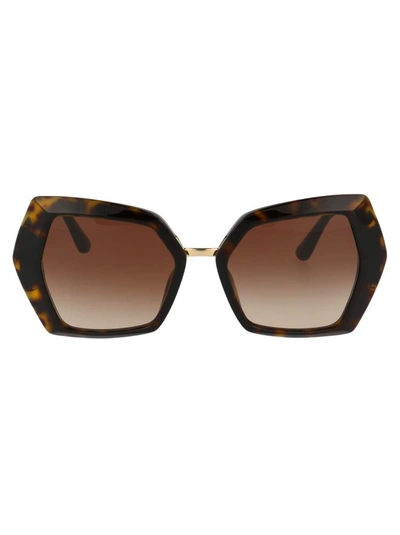 Dolce & Gabbana Sunglasses In 502/13 Havana