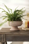 Terrain Wide Bowl Urn Planter