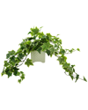 Creative Displays Green Ivy Arrangement In Square Ceramic Pot In Green