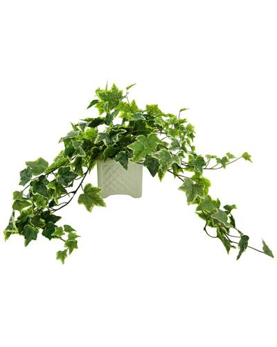 Creative Displays Green Ivy Arrangement In Square Ceramic Pot