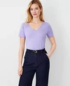 Ann Taylor V-neck Tee In Purple Petal