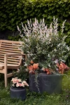 Terrain Fiber Jar Planter, 21"