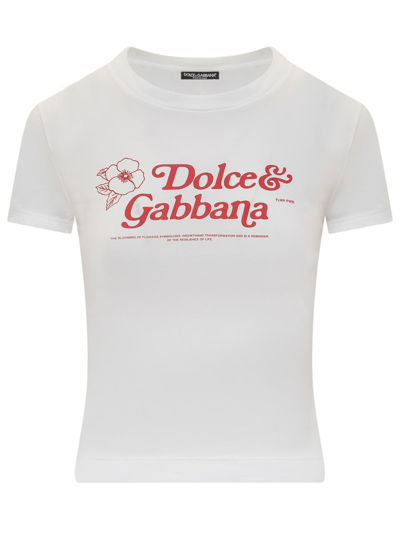Dolce & Gabbana White And Red Cotton T-shirt
