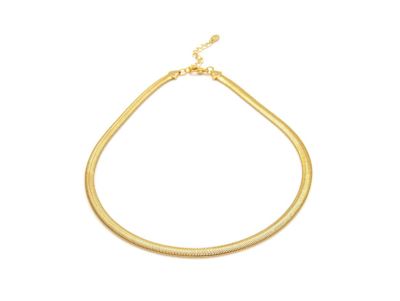Rivka Friedman Herringbone Chain Necklace In Gold
