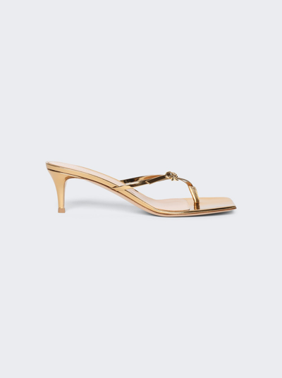 Gianvito Rossi Ribbon Thong Mule Sandal In Mekong