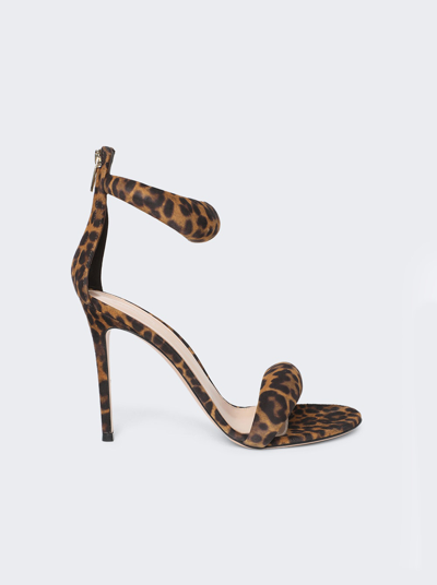 Gianvito Rossi Bijoux Sandal In Almond Leopard Print