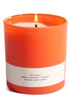 Brooklyn Candle Love Potion Candle In Red