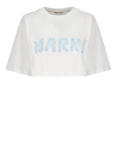 MARNI MARNI T-SHIRTS AND POLOS WHITE