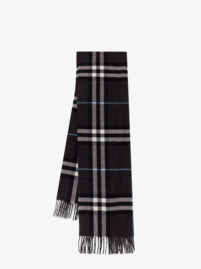 Burberry Scarf In Brown