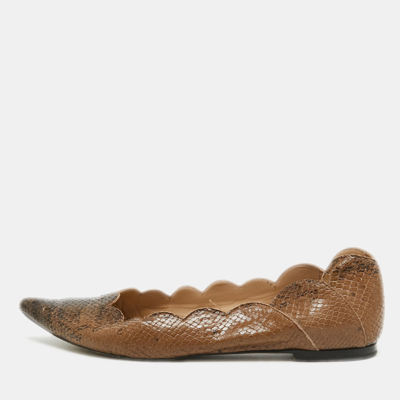 Pre-owned Chloé Two Tone Scalloped Embossed Python Pointed Toe Ballet Flats Size 40 In Brown