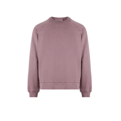 Carhartt Cotton Sweatshirt In Pink