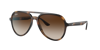 Ray Ban Ray In Brown Gradient