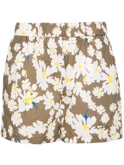 Msgm Floral-print Cotton Shorts In Brown